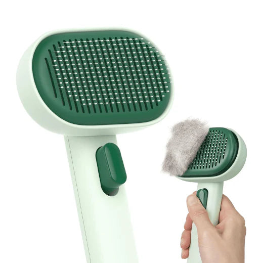 Pet Brush